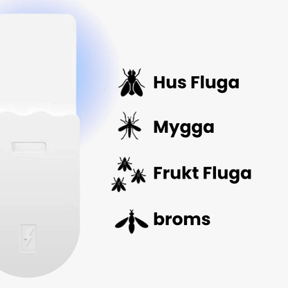 EcoCatch Flugfälla – Giftfri + 10st Refill